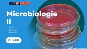 Microbiologie S6 Cours Résumé TD TP Examens PDF