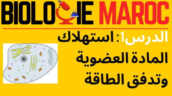 استهلاك المادة العضوية وتدفق الطاقة الثانية باك