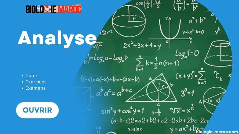 analyse math s3 bcg