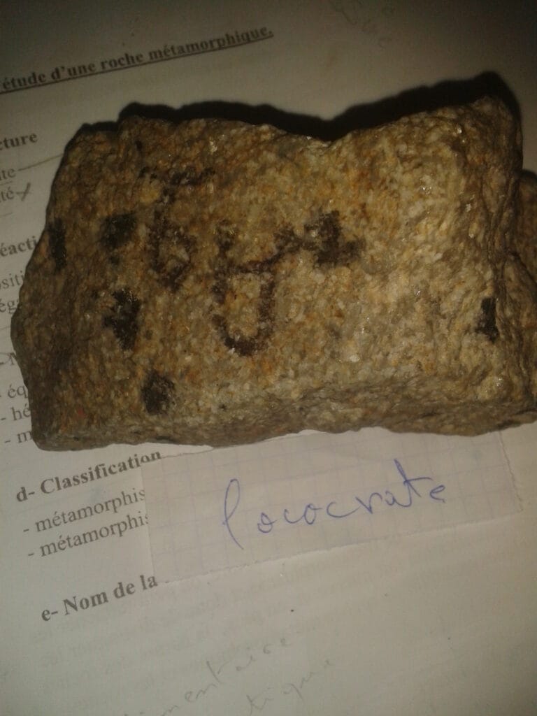 Géodynamique Externe: Cours, TD, TP, Examens Corrigés S2 PDF - géodynamique externe,géodynamique externe pdf,geodynamique externe cours pdf,exercices corrigés géodynamique externe pdf Géodynamique Externe