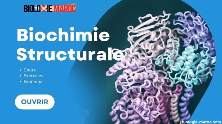 Biochimie Structurale: Cours, TD, & Examens Corrigé -S3 PDF