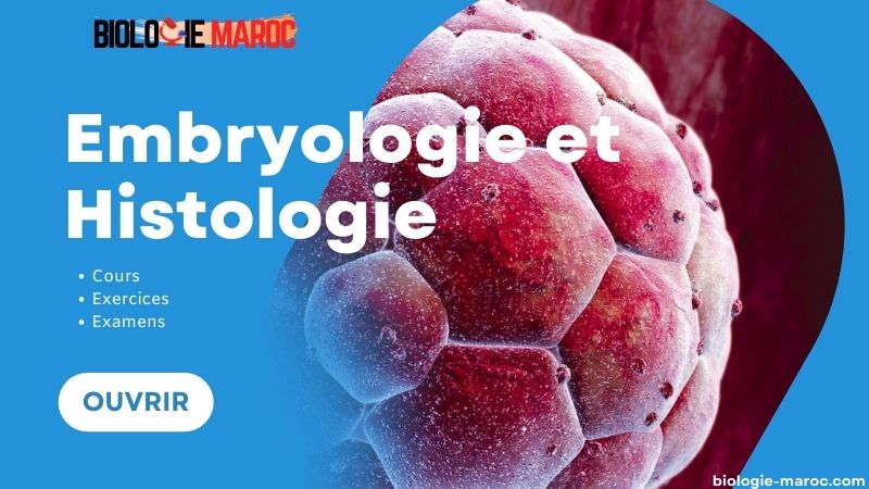 Embryologie et Histologie