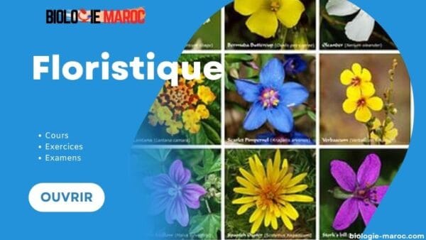 Floristique S4 PDF: Cours, TD, TP & Examens Corrigés