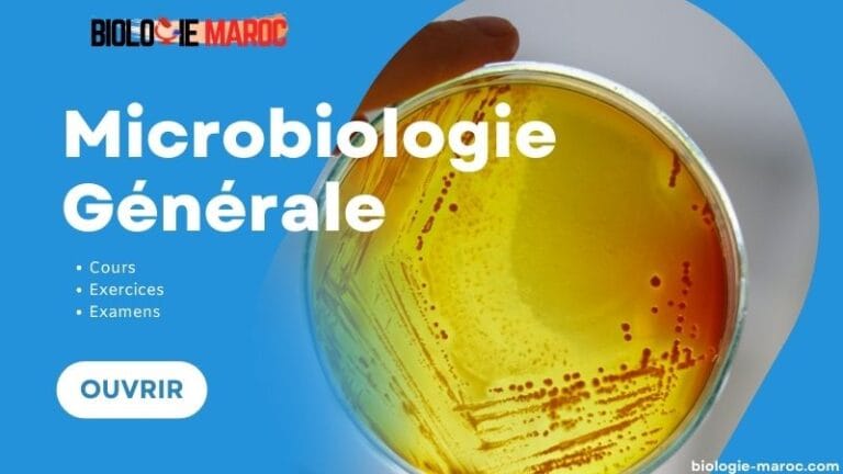 Microbiologie Générale: Cours, TD, TP & Examens Corrigé S3