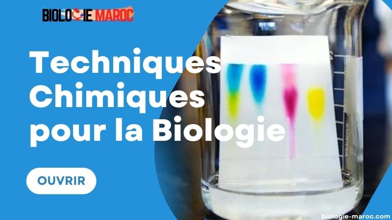 Techniques Chimiques pour la Biologie