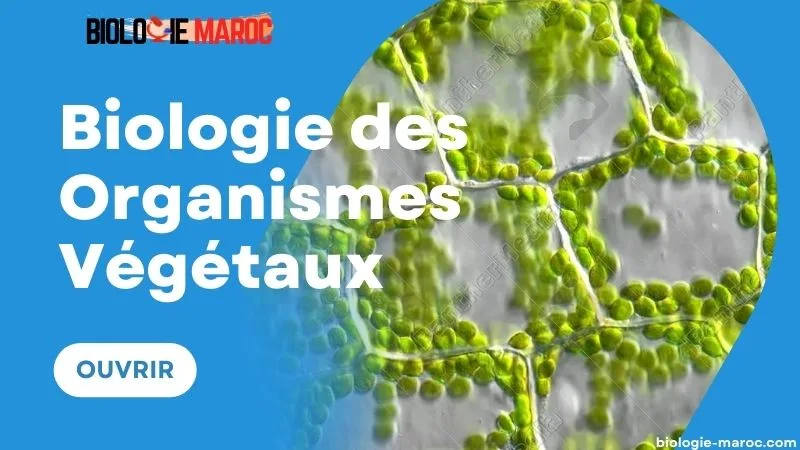 biologie végétale s2 cours-td-examen pdf