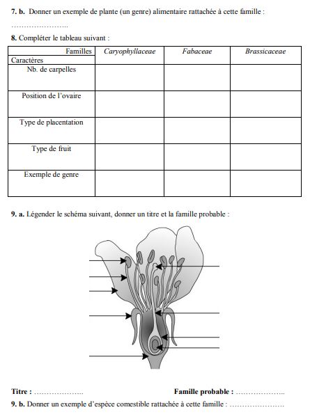 Examen de Floristique S4 PDF