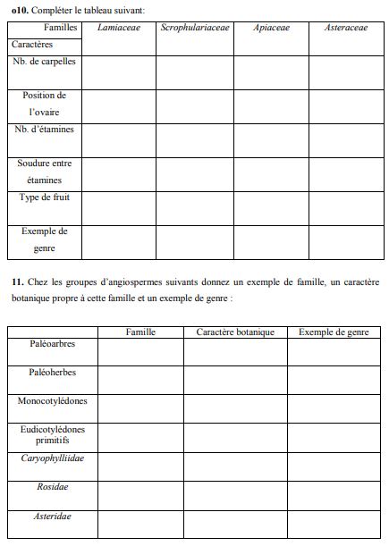 Examen de Floristique S4 PDF