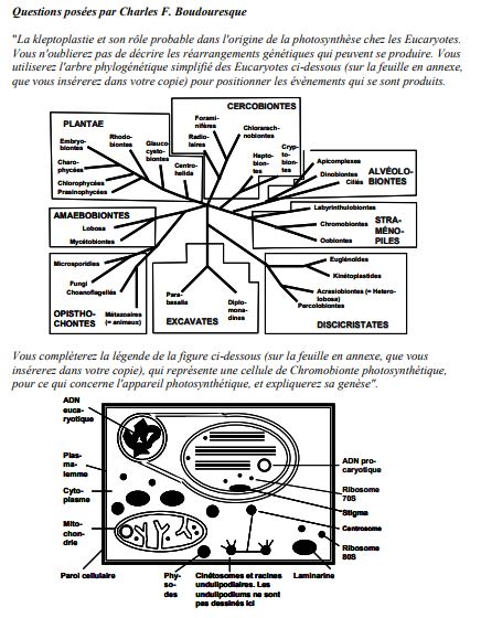 Examen de Microbiologie Générale PDF