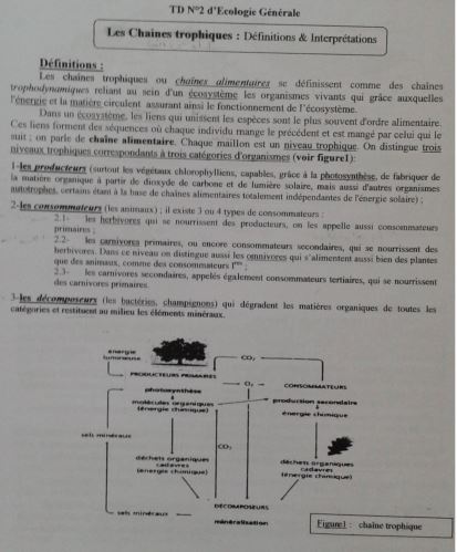 Examen Ecologie Générale PDF