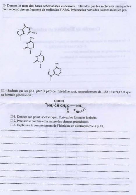 Examens Biochimie Structurale PDF