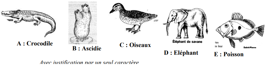 examen biologie animale pdf