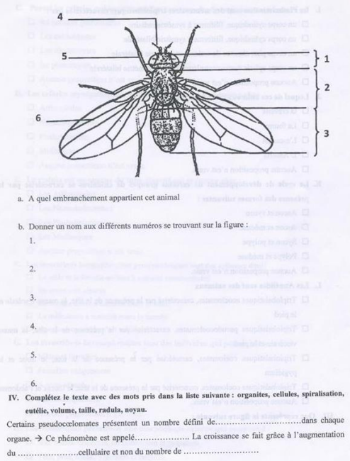 examen biologie animale s2 pdf
