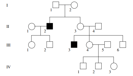 examen Génétique moléculaire S4 PDF
