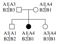 examen Génétique moléculaire S4 PDF