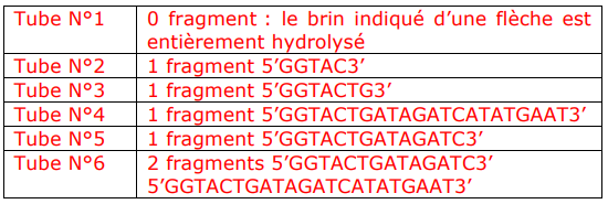 Examen Biologie Moléculaire PDF