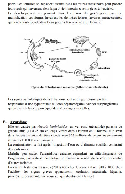 TD exercices Biologie Animale pdf