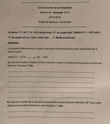 Exercices Enzymologie et Biochimie Métabolique PDF