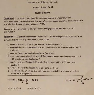 ☑️ EXERCICES CORRIGÉES DE ENZYMOLOGIE BIOCHIMIE MÉTABOLIQUE S4 PDF-SVI Exercices d’Enzymologie et Biochimie Métabolique PDF