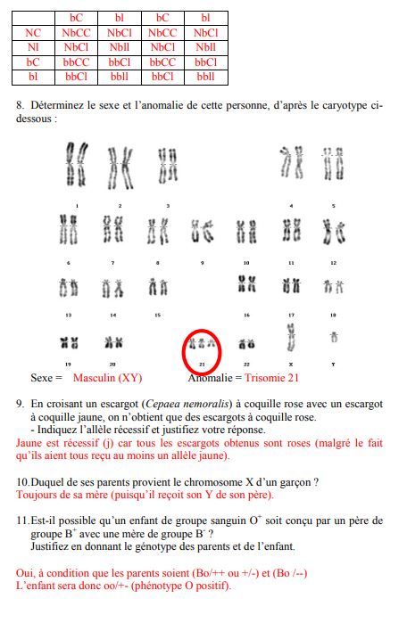 TD Exercice de Génétique PDF