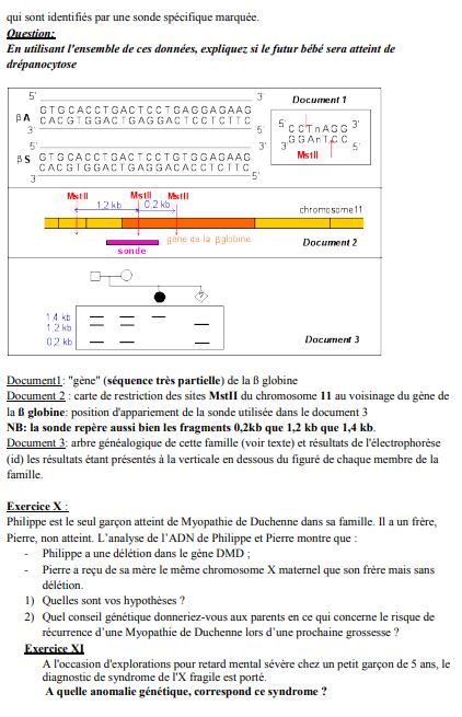 Exercices de Génétique humaine PDF