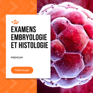 examen Embryologie et Histologie pdf