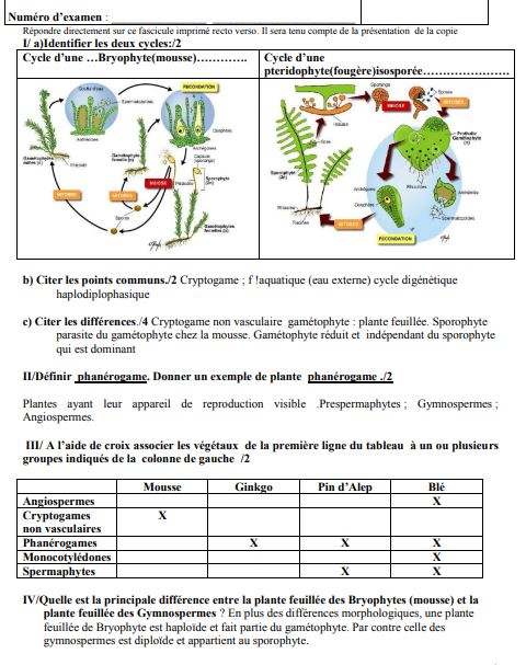 examen biologie vegetale
