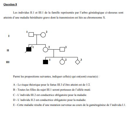qcm genetique pdf