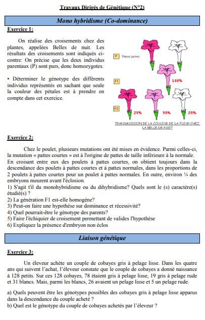 exercices genetique s4